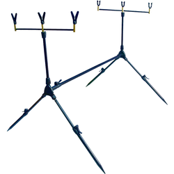 Rod pod York gruntowy