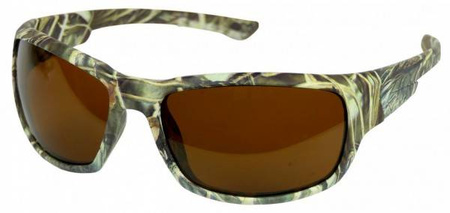 Polarized glasses