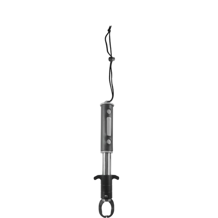 Rotation fish grip with scale