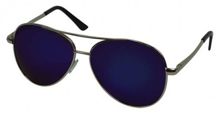 Polarized glasses