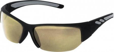 Polarized glasses