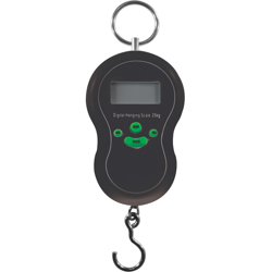 Electronic scale standard