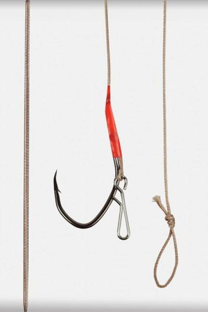 C.A.T. Catfish rig with hook for pellet