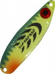 Spoon BYCHC012GR 5pcs