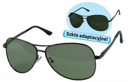 Polarized glasses
