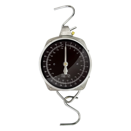 Maxi scale